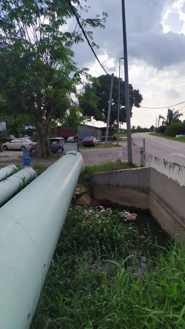 UMAP Activity - umap (29)